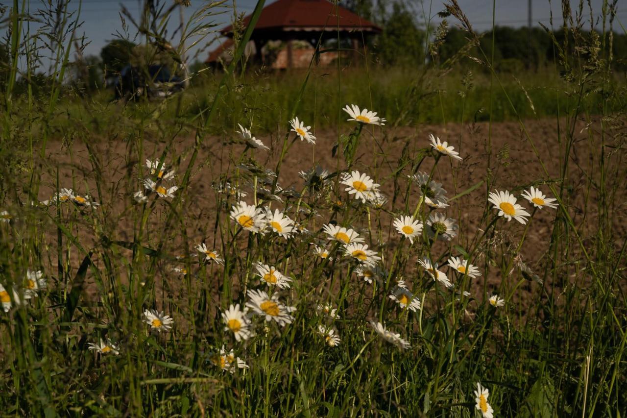 Rustykalne Klimaty Villa Majdan Zbydniowski Buitenkant foto
